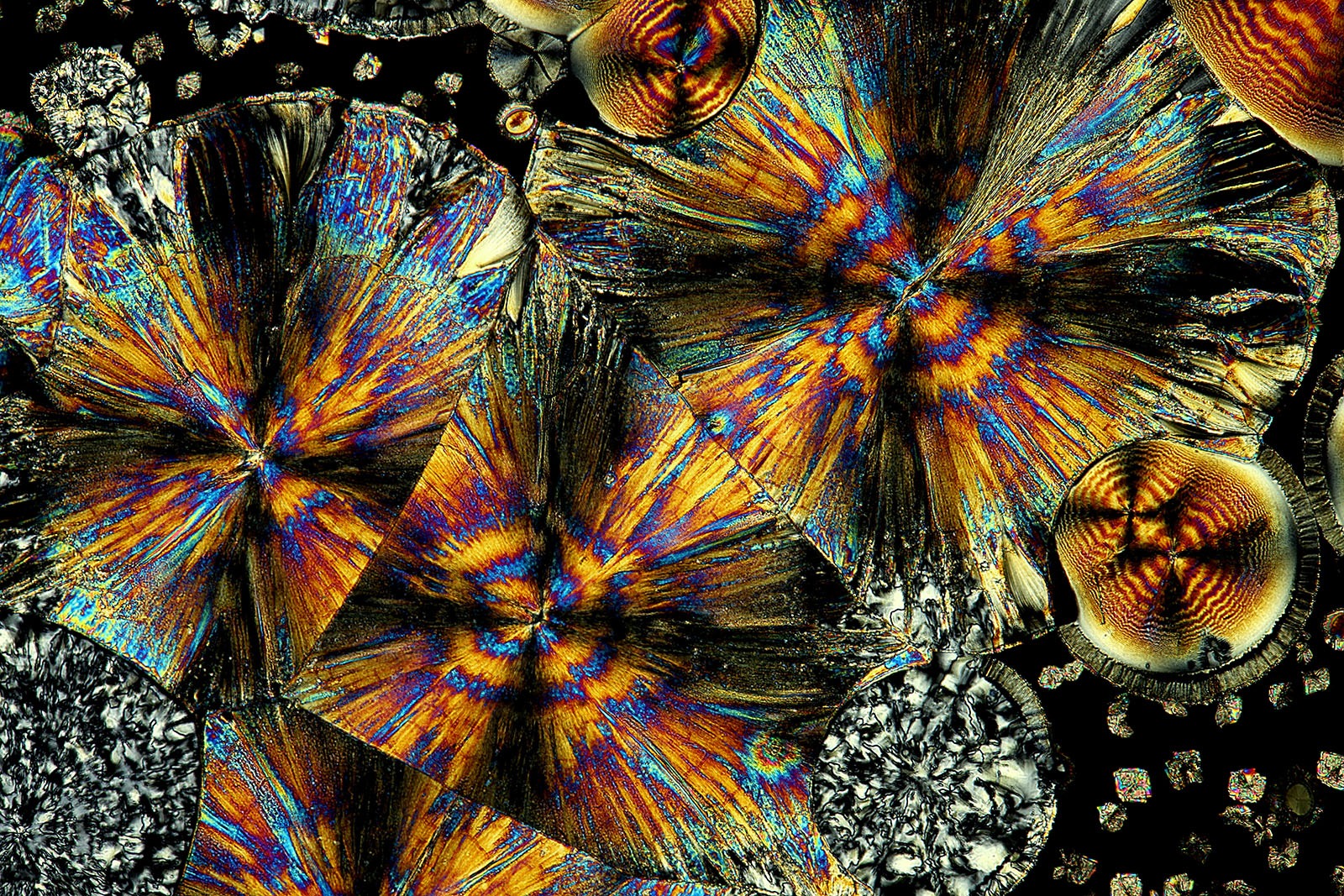 James Rider: Asparagine Crystals