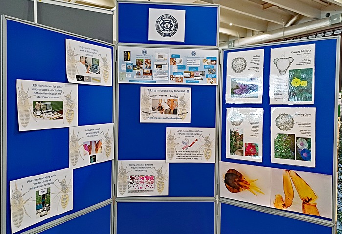 Display panels