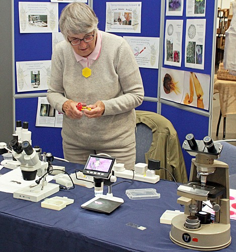 Stereo, digital and compound microscopes