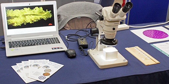 Stereo microscope and slide show